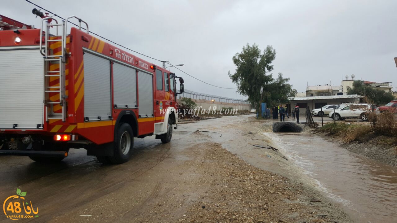 Car lud jana (3).jpg